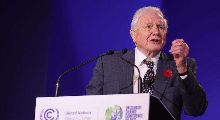 David Attenborough reçoit le prix environnemental de l’ONU le plus prestigieux